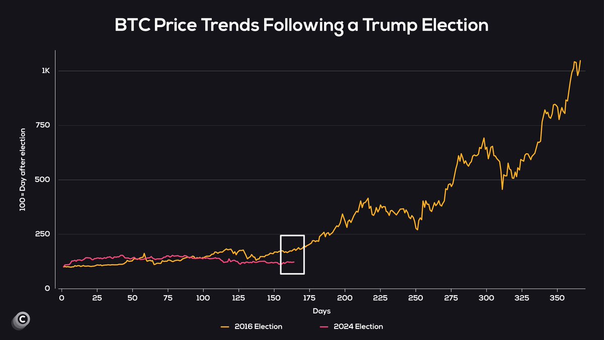 According to history, the #Bitcoin bull run is just about to begin! 👀