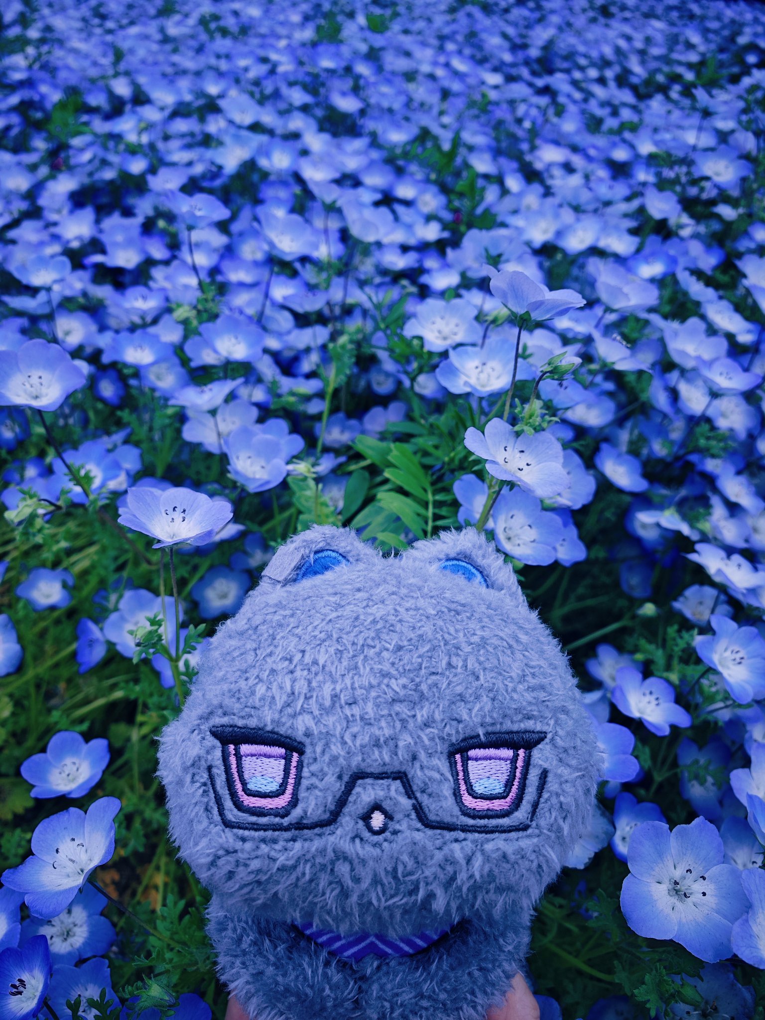 𝕄𝕒𝕣𐂂𖠚ᐝにじそ東5ソ-30 (@qM7yU3LsQU5izG7) / X 𝕄𝕒𝕣𐂂𖠚ᐝにじそ東5ソ-30 (@qM7yU3LsQU5izG7) / X