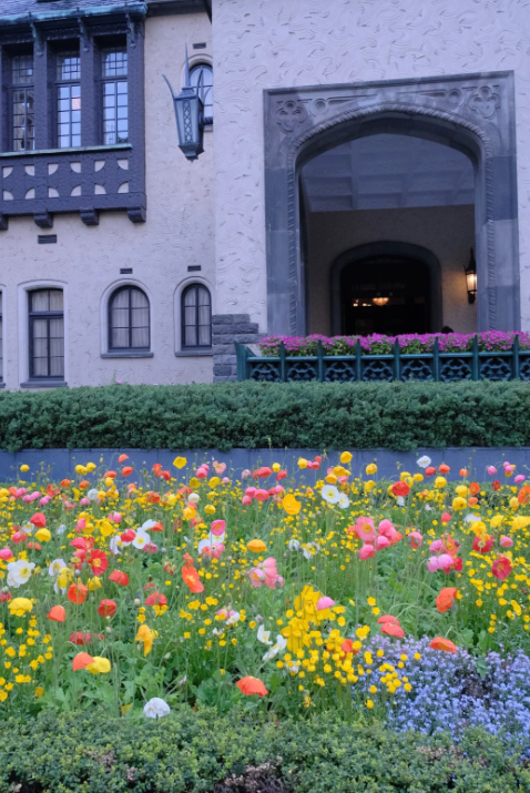 この花の海に浸ってください！赤、黄、白、ピンクの色とりどりの野花が互いに美しさを競い合い、緑豊かな低木と組み合わさった様子は、まさに自然の傑作です。