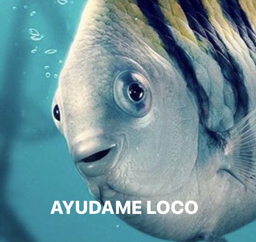 La comida de toda la península ibérica en estos momentos, pidiendo auxilio desde el congelador #apagon