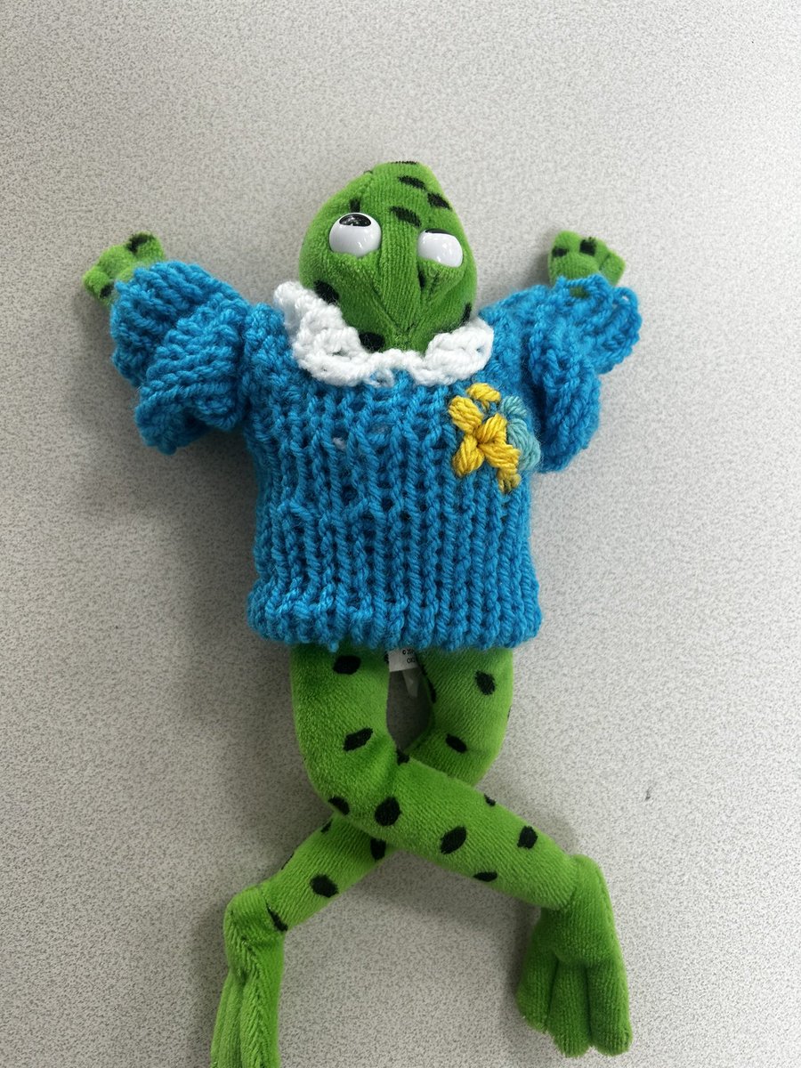 One of our fantastic teaching students from @BGULincoln knitted Fred frog his own school jumper! <a href="/RuthMiskinEdu/">Ruth Miskin Training</a>