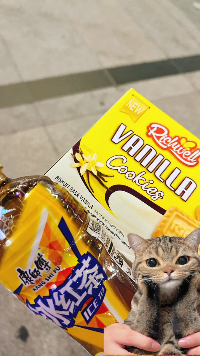 loecnn's tweet photo. 散歩してきた！でもこれが本当に散歩かな？ https://t.co/LVe7OmjgxU