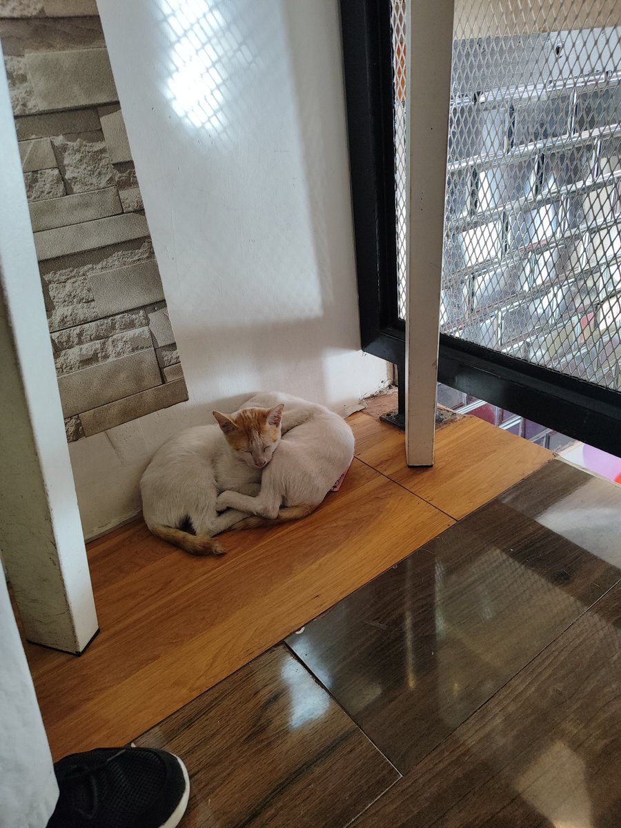 aruepil's tweet image. thanks po sa freebies 3/x

ft catsss