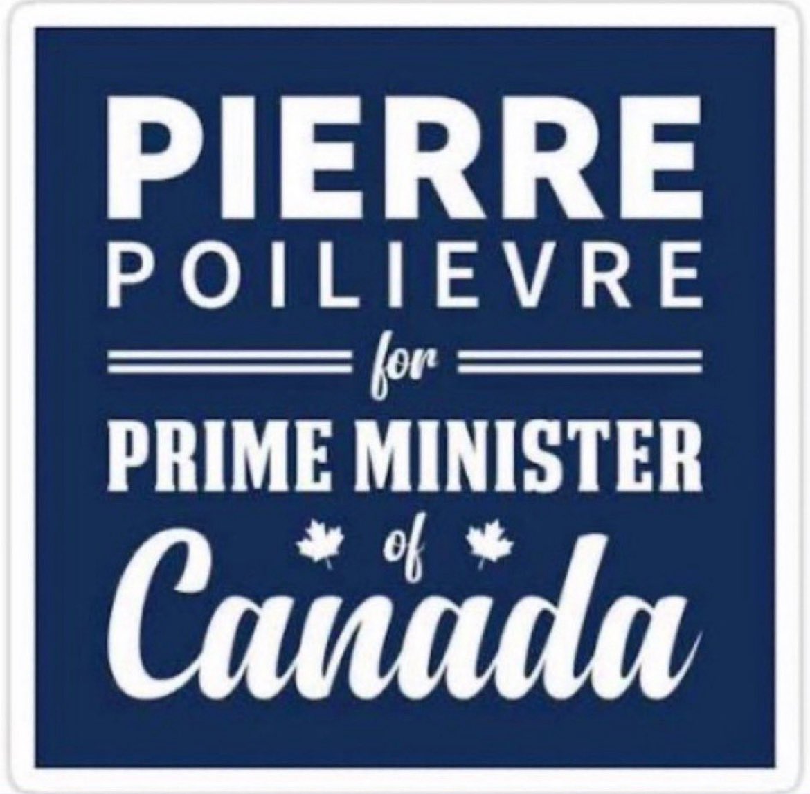 cristinits's tweet image. Vote for a change, vote conservative, let’s see Canada prosperous again. Let’s bring it home. Canada first, vote blue. #PierrePoilievreForPM  #bluewaveiscoming 💙💙💙💙