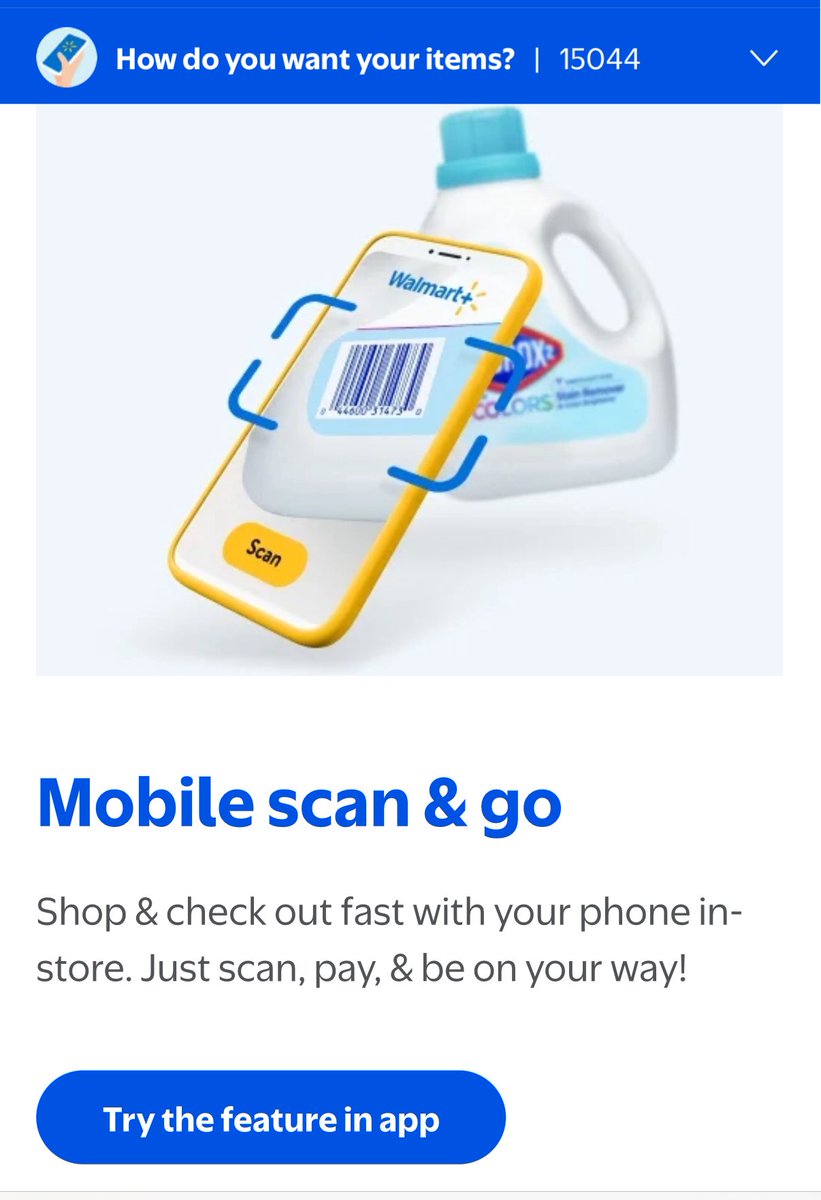 One this person is using Scan and Go. Two, DEI at Wal Mart? Lauren needs a life.