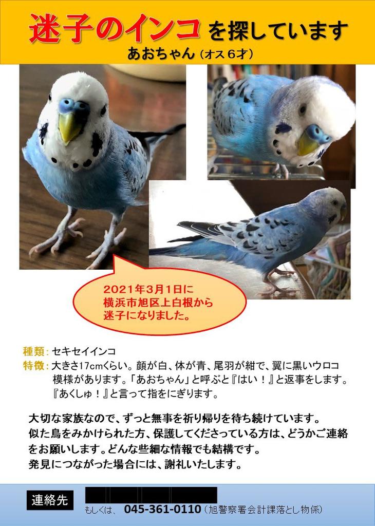 shiro_kiyanagi tweet picture