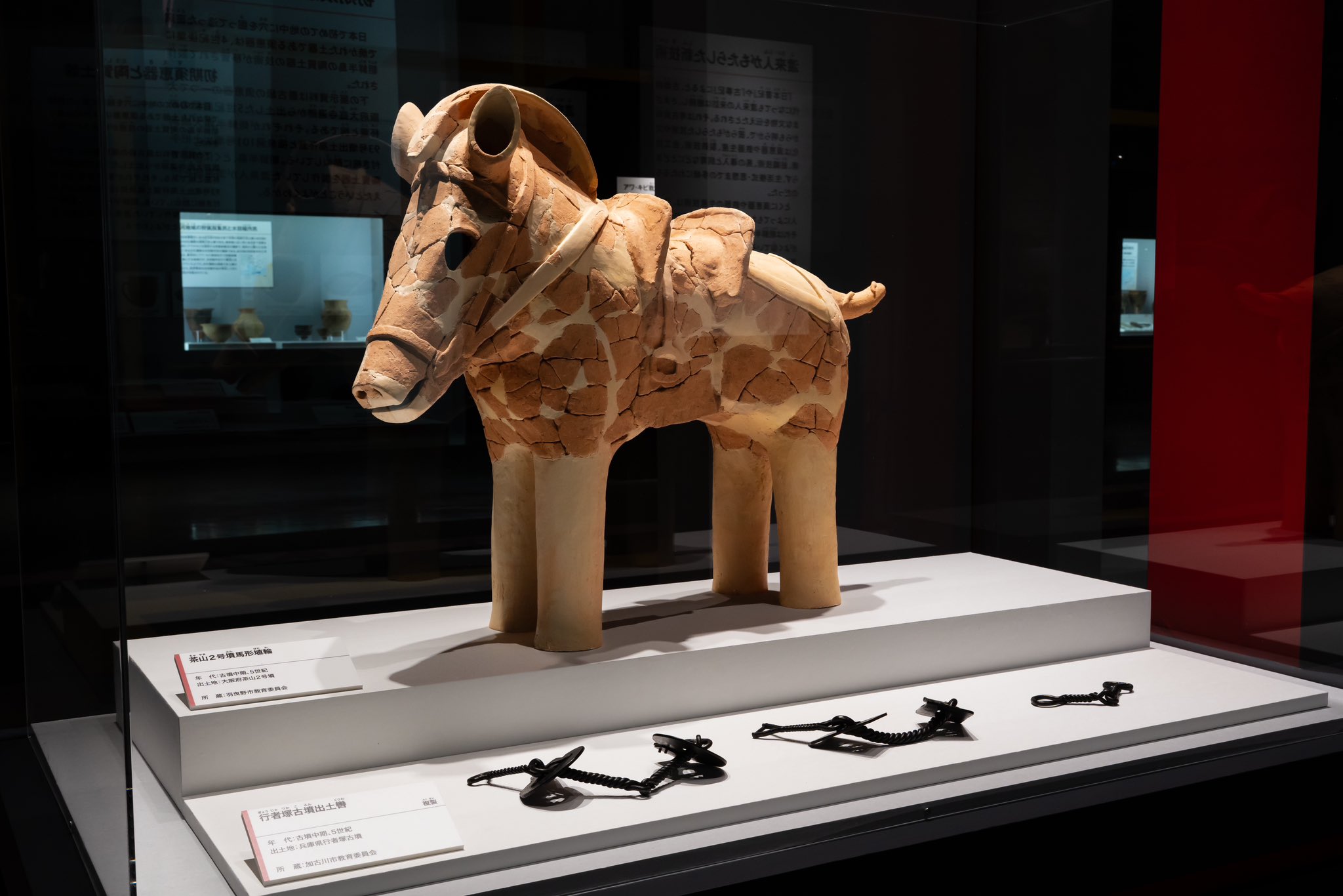 工場直売 公式】特別展「古代ⅮNA－日本人のきた道－」 on X:  科学・サイエンス