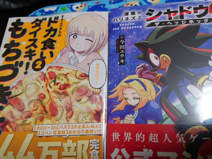 もちづきさんとコロコロシャドウ置いてたので買ってきた 