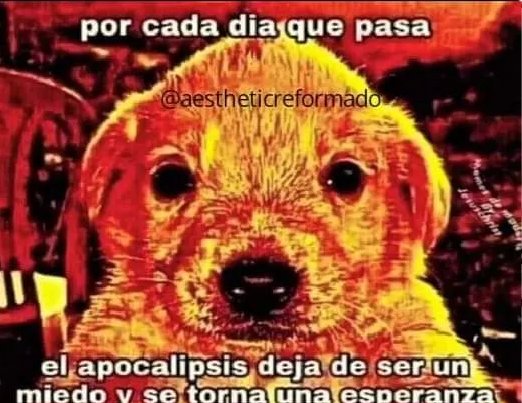 Karin_skyblue ✌️ (@karin_skyblue) on Twitter photo 