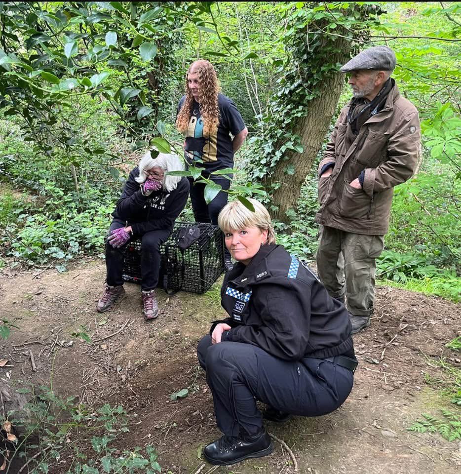 PC CJ Newsome 🦡🦊 (@wyp_cnewsome) on Twitter photo 2 feisty little badger cubs rescued from a manhole on Saturday tea-time, with Huddersfield <a href="/DistrictBadger/">Huddersfield & District Badger Group</a> group🦡🦡
Both released back to their sett nearby, making us late to give my presentation about wildlife crime to <a href="/Calderbadgers1/">calderdale badger protection group</a> What better reason to be late!!🥰🦡🦡 2 feisty little badger cubs rescued from a manhole on Saturday tea-time, with Huddersfield <a href="/DistrictBadger/">Huddersfield & District Badger Group</a> group🦡🦡
Both released back to their sett nearby, making us late to give my presentation about wildlife crime to <a href="/Calderbadgers1/">calderdale badger protection group</a> What better reason to be late!!🥰🦡🦡