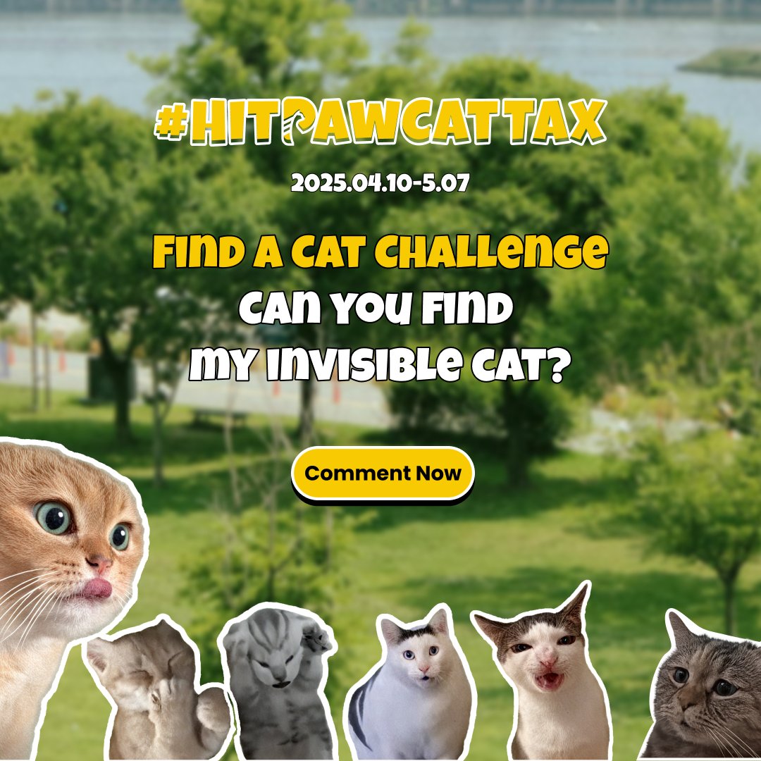 HitPawofficial's tweet image. Find A Cat Challenge
Spot my cat, add #HitPawCatTax, and comment here!

#hitpaw #vikpea #fotorpea #cat