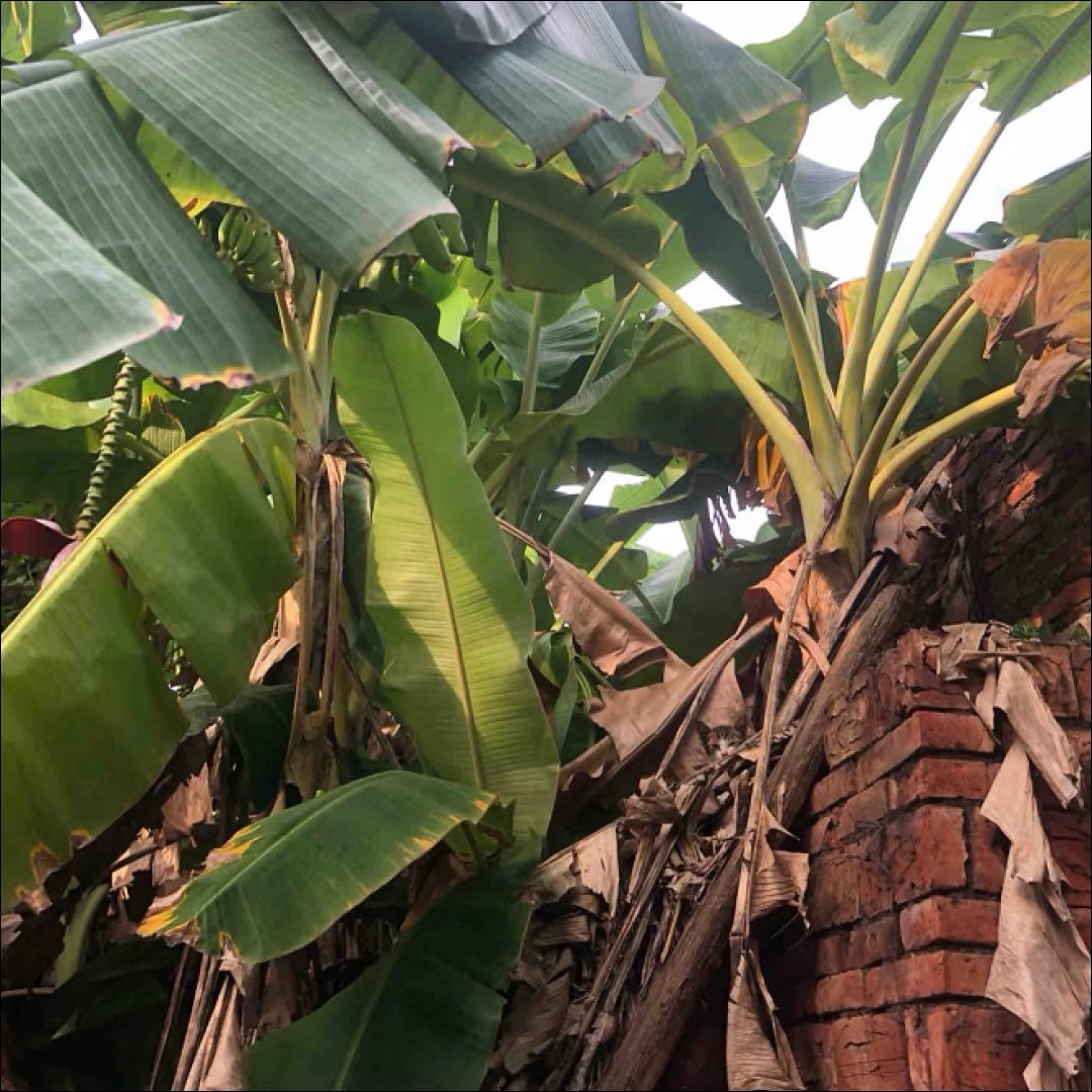 HitPawofficial's tweet image. Find A Cat Challenge
Spot my cat, add #HitPawCatTax, and comment here!

#hitpaw #vikpea #fotorpea #cat