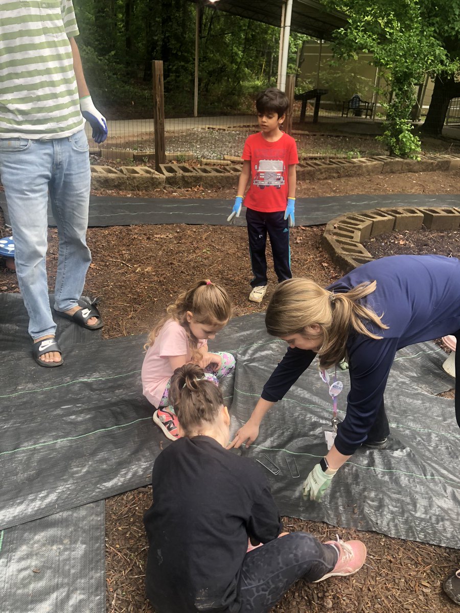 Elizabeth Sapp tweet media