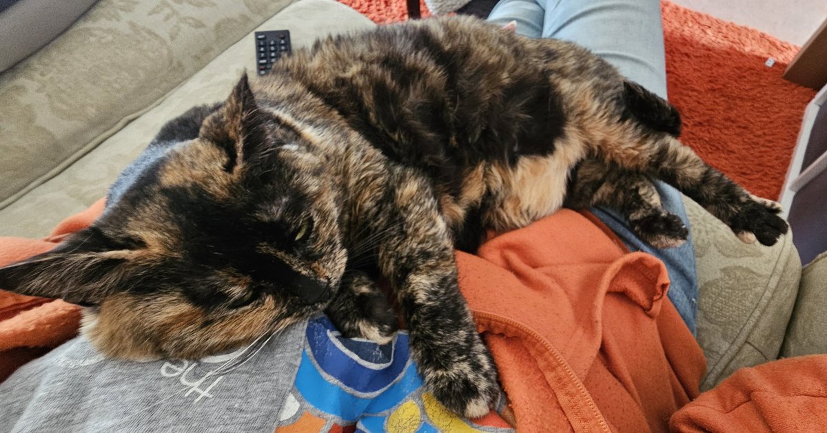 Laura and Tabitha tweet media