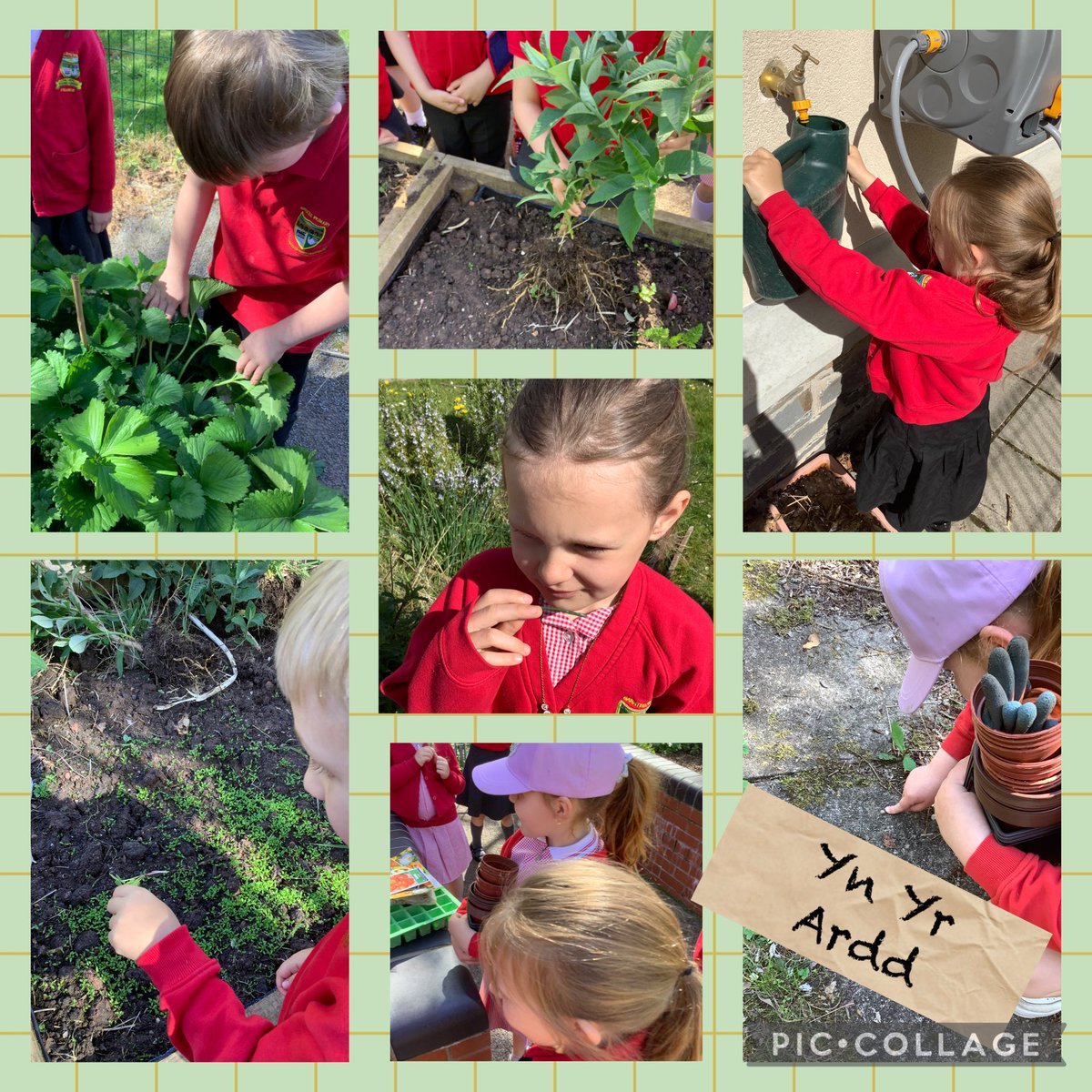 Welcome back dosbarth 3! What an amazing morning getting out and about in our allotment, pond and making a start on our planters. We have a lot of work to do in our topic ‘In the Garden’, 🪴 we can’t wait😁 <a href="/garntegprimary/">Garnteg Primary</a> <a href="/MissBones90/">Miss Bones</a> <a href="/Miss_Mitchell20/">Miss.Mitchell</a>
