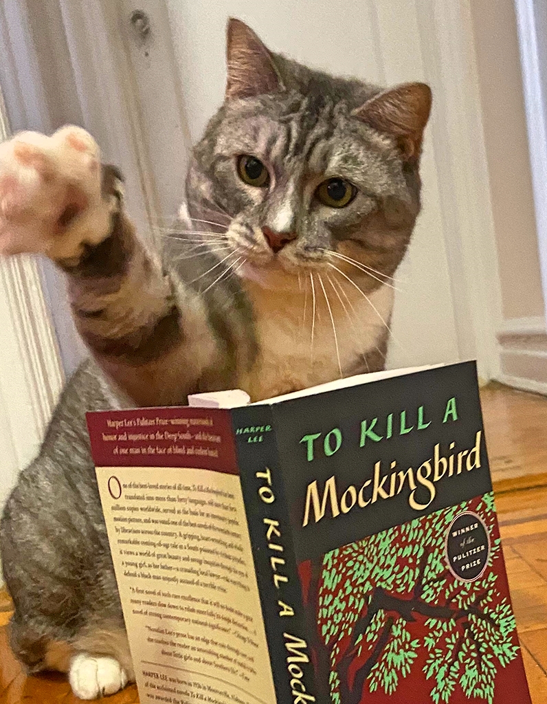 In honor of the great Harper Lee who was born on this day in 1926.