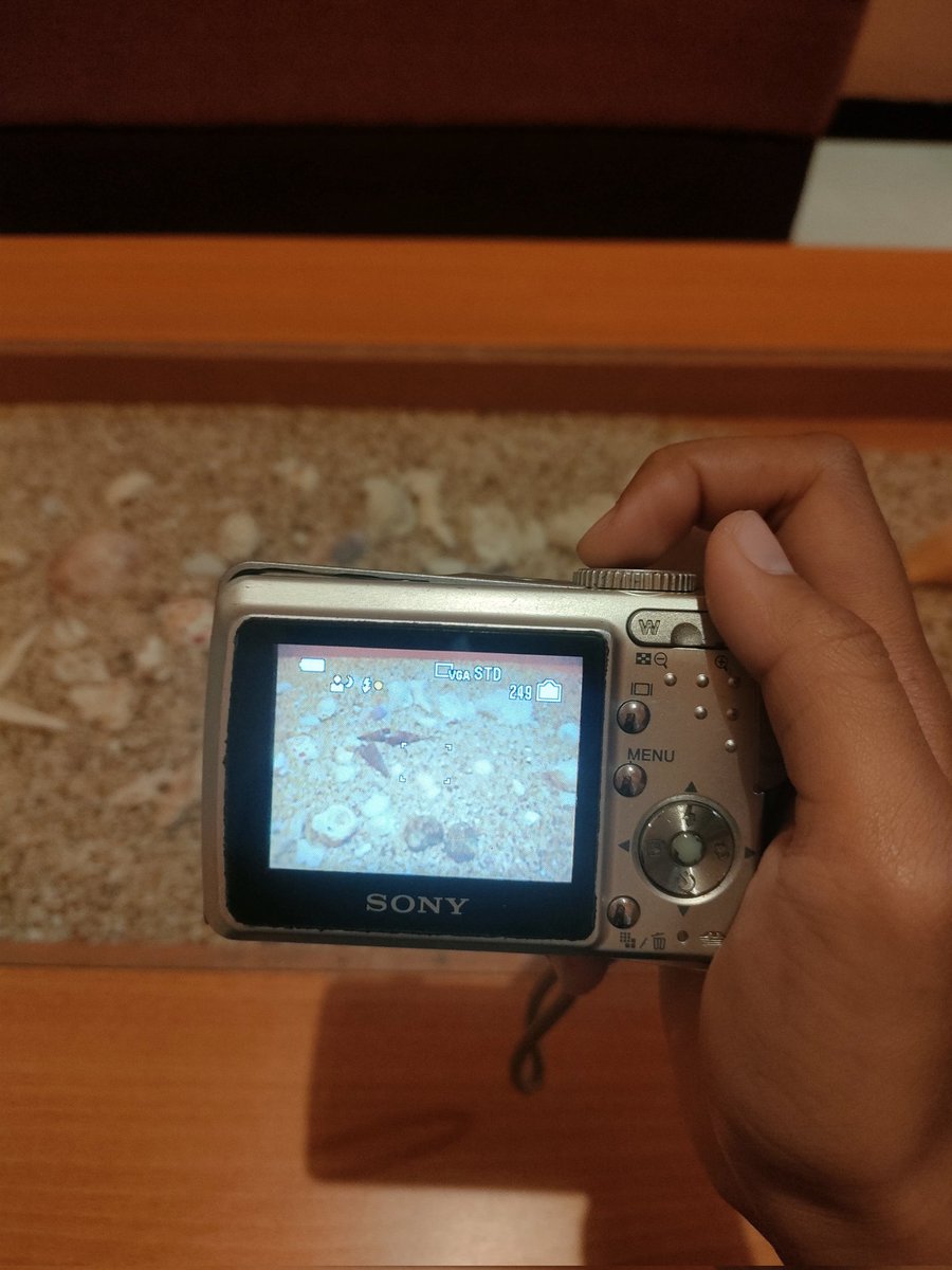 WTS DIGICAM SONY CYBERSHOT DSC S500❗❗

minus:
- flash off
- tutup baterai agak kendor (bisa diakalin pake karet, tp kalo ga dikaret in jg gpp si aman aja)

lainnya amann yapp!
💰: 500k
bisa🍊
cod juga bisa
📍dom kediri, jawa timur