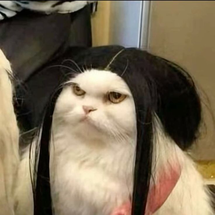 Spirit animal (⁠*⁠❛⁠‿⁠❛⁠)
Anyway, wanna be #artmoots ??