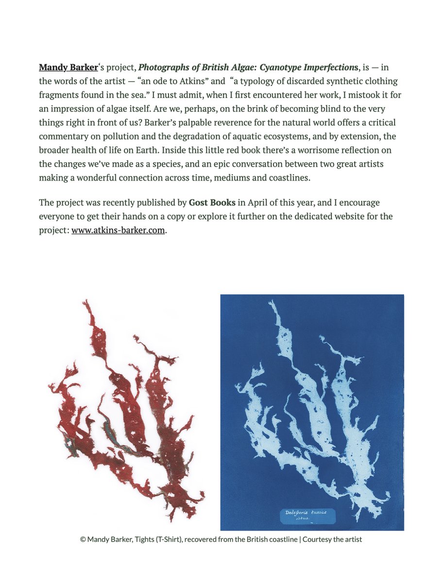 Mandy Barker (@plasticpieces) on Twitter photo Editors Pick on <a href="/lenscratch/">LENSCRATCH</a> – many thanks to Vicente Cayuela for his words and pick of my project ‘Photographs of British Algae: Cyanotype Imperfections’... "recently published I encourage everyone to get their hands on a copy..." www-mandy-barker.com Editors Pick on <a href="/lenscratch/">LENSCRATCH</a> – many thanks to Vicente Cayuela for his words and pick of my project ‘Photographs of British Algae: Cyanotype Imperfections’... "recently published I encourage everyone to get their hands on a copy..." www-mandy-barker.com