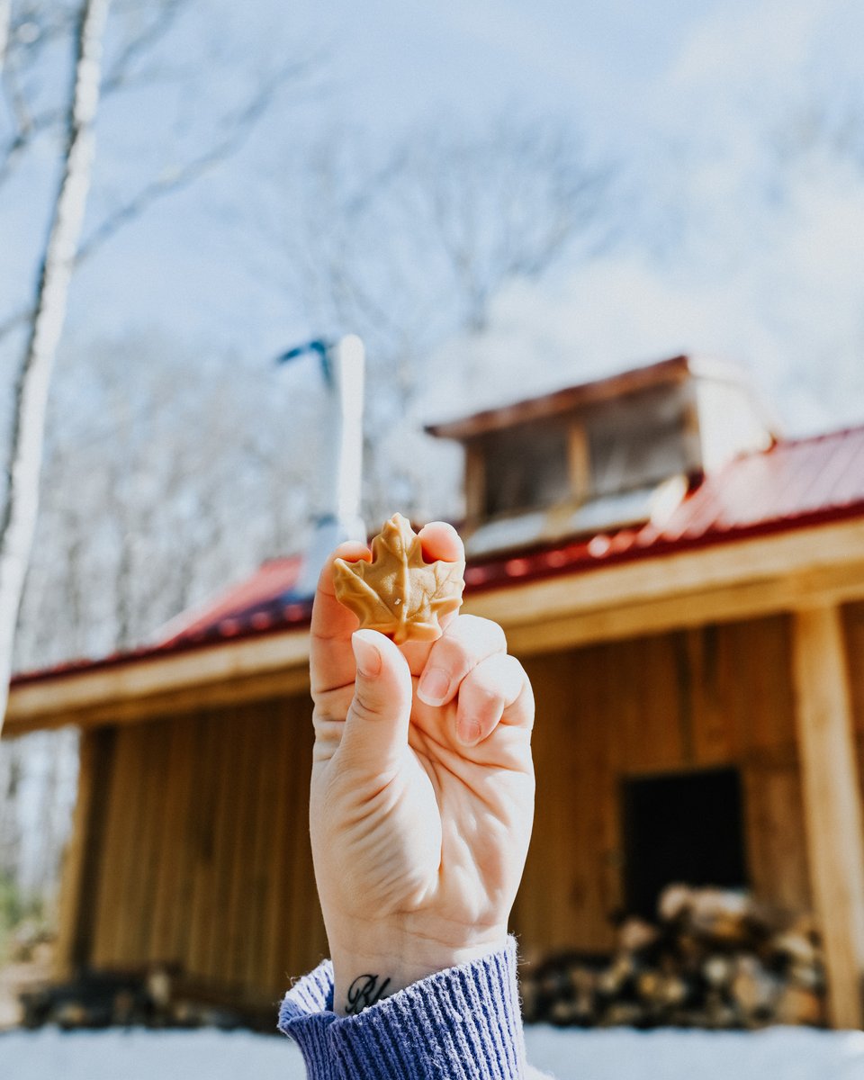 AlimentsNB's tweet image. Extrait directement des arbres du Nouveau-Brunswick par des acériculteurs qui perfectionnent leur art depuis des générations, ce sirop est plus qu’un simple délice : c’est un goût de chez nous.

#achetezlocalpourdebon #nouveaubrunswick #SoutienLocal #siropderablenb