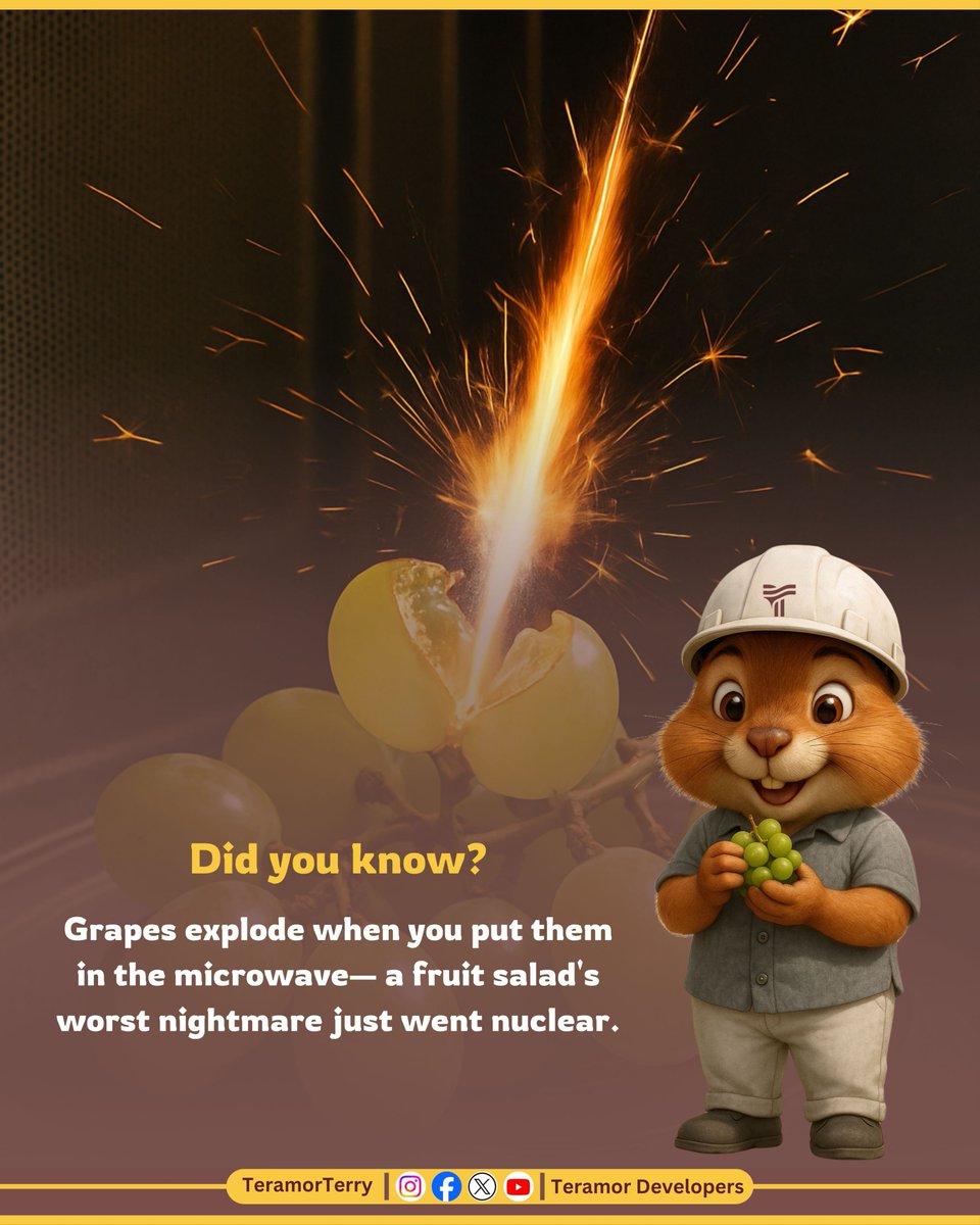 TeramorTerry's tweet image. Did you know? 🤯🍇 Grapes can actually explode when you put them in the microwave! A fruit salad’s worst nightmare just went nuclear! 💥🔥#teramorterry #fruitfails #kitchenexperiments #grapeexplosion #microwavemishap