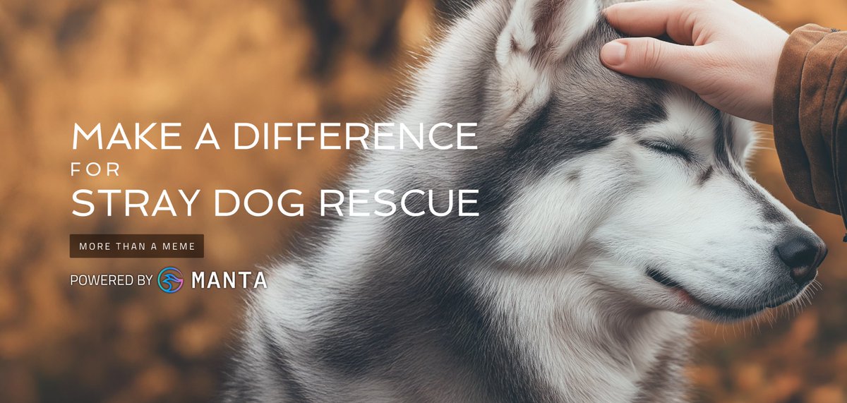 Rescue_Meme's tweet image. 🌊 Introducing Rescue.meme: where viral energy meets real-world compassion.
A platform that transforms memecoin fun into direct support for stray dog rescues.
Learn more 🧵👇