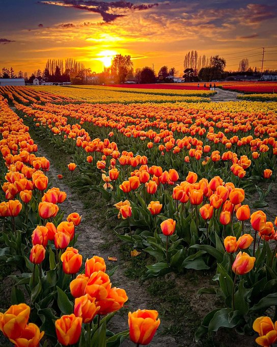 Monday is the day to set your intention and go after your goals fearlessly.