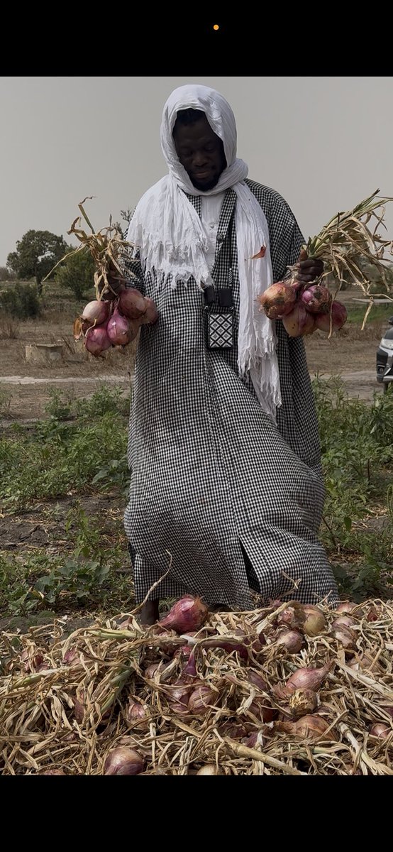 Abdallah Diouf (@abdallahdiouf13) on Twitter photo 