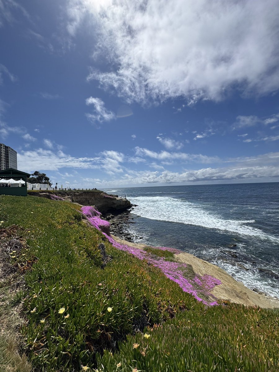 Mahmoud Samy Ahmed (@mahmoudsamymd) on Twitter photo Grateful to <a href="/HRSonline/">Heart Rhythm Society</a> for the Fellows Travel Scholarship! HRS in beautiful San Diego was an incredible experience — learning from pioneers, connecting with mentors, and reuniting with old friends from around the world #HRS2025 #EPeeps #cardiotwitter <a href="/HeartRhythmTV/">Heart Rhythm TV</a> Grateful to <a href="/HRSonline/">Heart Rhythm Society</a> for the Fellows Travel Scholarship! HRS in beautiful San Diego was an incredible experience — learning from pioneers, connecting with mentors, and reuniting with old friends from around the world #HRS2025 #EPeeps #cardiotwitter <a href="/HeartRhythmTV/">Heart Rhythm TV</a>