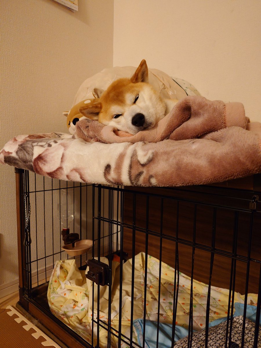 なんかお疲れやね