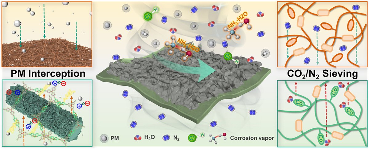 1st Editor's Choice Article for the March issue from the group of Prof. Yang Lei at Lanzhou Jiaotong University.

Directional anchoring of cobalt metal sites in mixed matrix membranes via interfacial covalent grafting for synchronous separation of particulate matter and CO2

This