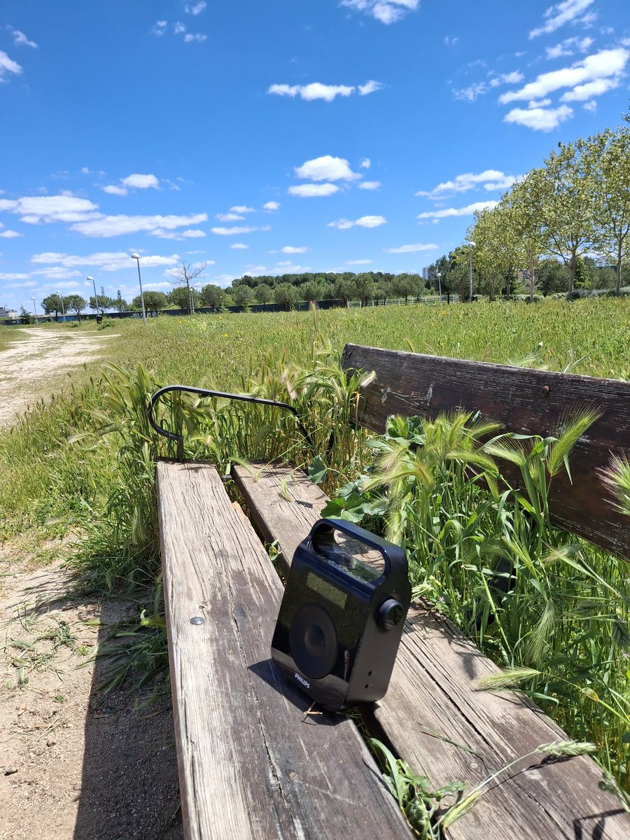 Otro "día de los transistores"... #apagon