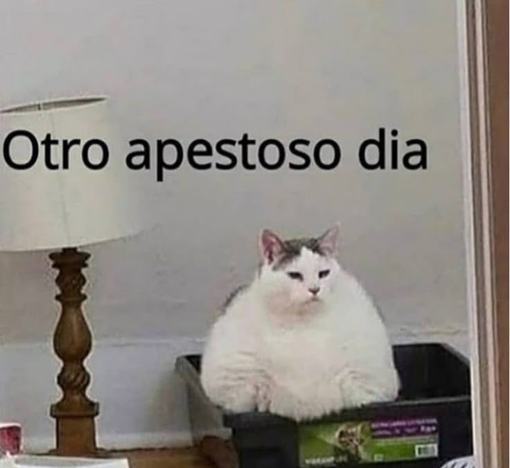 Lunes tenía que ser