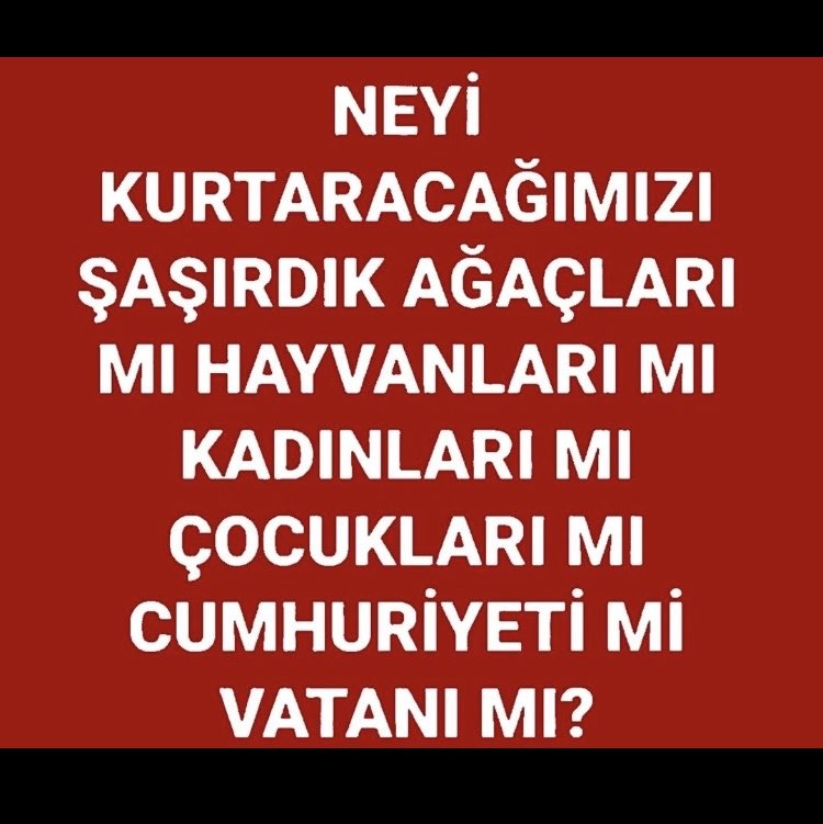 Mustafa Aygün (@mustafa93069982) on Twitter photo 