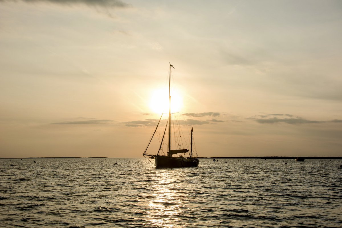 Claire (@clgrasby) on Twitter photo One from the camera… Juno looking lovely in the evening sun off Blakeney Point ☀️
#blakeney #blakeneyharbour #northnorfolkcoast #norfolk #outdoors #boating #photography #nikonphotography #thephotohour <a href="/bargejuno/">Sailing Barge Juno</a> <a href="/AshFaire/">Sailing Barge Juno</a> One from the camera… Juno looking lovely in the evening sun off Blakeney Point ☀️
#blakeney #blakeneyharbour #northnorfolkcoast #norfolk #outdoors #boating #photography #nikonphotography #thephotohour <a href="/bargejuno/">Sailing Barge Juno</a> <a href="/AshFaire/">Sailing Barge Juno</a>