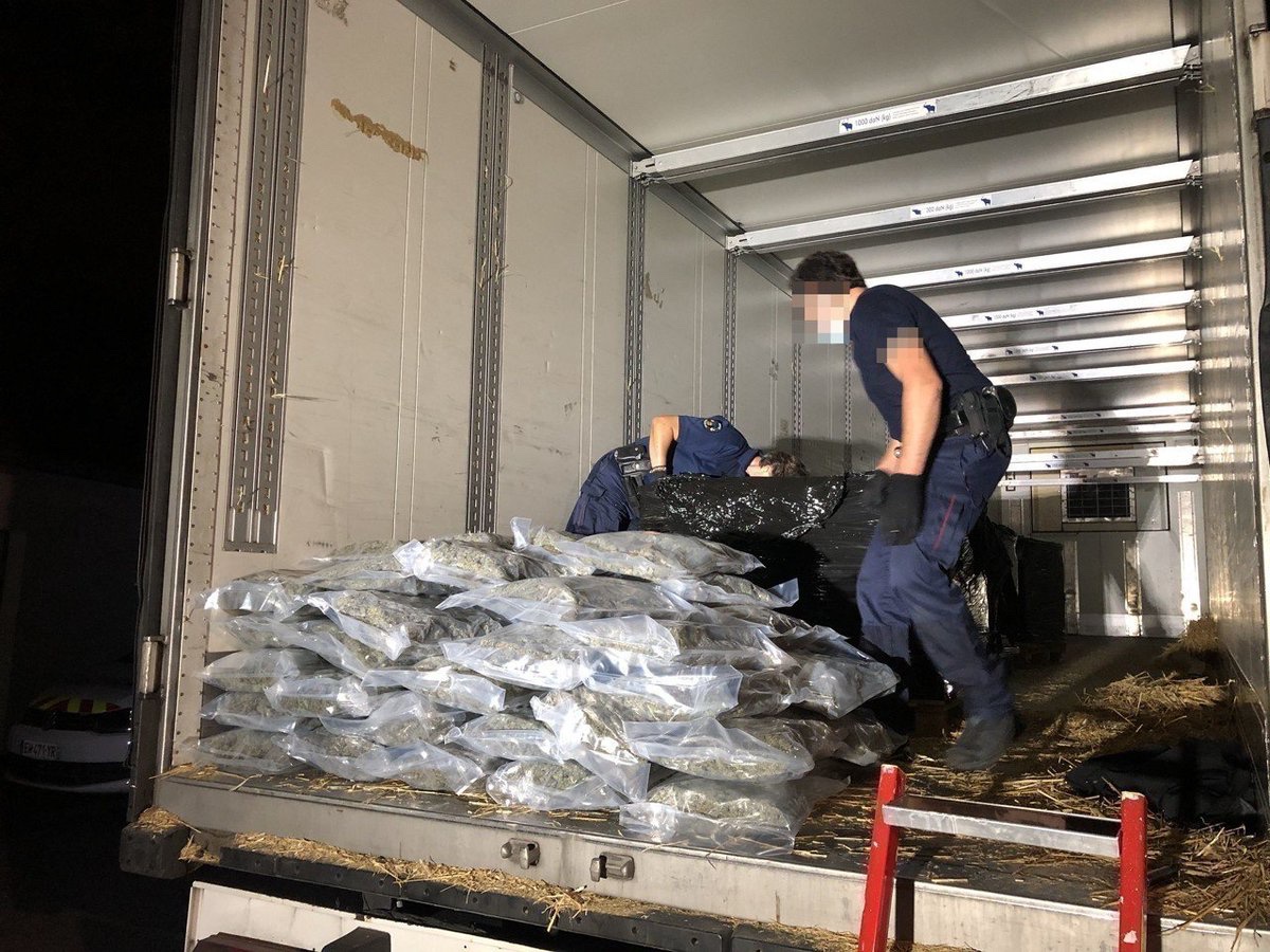 🇫🇷🪴 INSOLITE - Le chauffeur d’un poids lourd transportant 9 tonnes de cannabis s’est fait voler à Lyon... puis a ALERTÉ la police. (Paris Match)