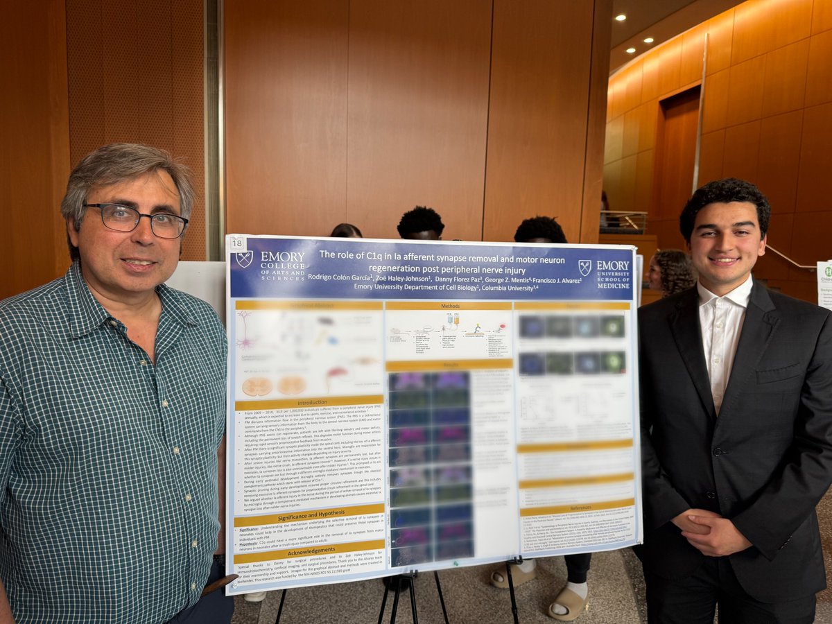 Huge congratulations for another successful semester of research and poster presentations by our lab's undergraduates. Desi Ukmar and Veronica Sanchez (Sr), Rodrigo Garcia (Jr), Briella Lucadamo (Soph), and their mentors @ZoeHaleyJ <a href="/PottorfTana/">Dr. Tana Sue Pottorf (Nitcher)</a> Elizabeth Lane. <a href="/emorycollege/">Emory College</a>