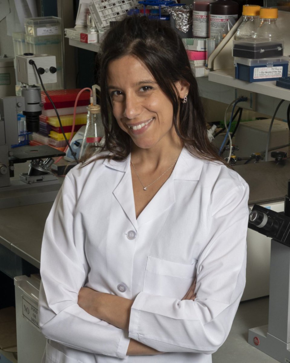 Cancer Discovery (@cd_aacr) on Twitter photo Online now concurrent with the #AACR25 oral presentation by Cancer Discovery Early Career Award Winner <a href="/Sandra_Misale/">Sandra Misale</a>: Direct Inhibition of RAS Reveals the Features of Oncogenic Signaling Driven by RAS G12 and Q61 Mutations brnw.ch/21wSh8j Online now concurrent with the #AACR25 oral presentation by Cancer Discovery Early Career Award Winner <a href="/Sandra_Misale/">Sandra Misale</a>: Direct Inhibition of RAS Reveals the Features of Oncogenic Signaling Driven by RAS G12 and Q61 Mutations brnw.ch/21wSh8j