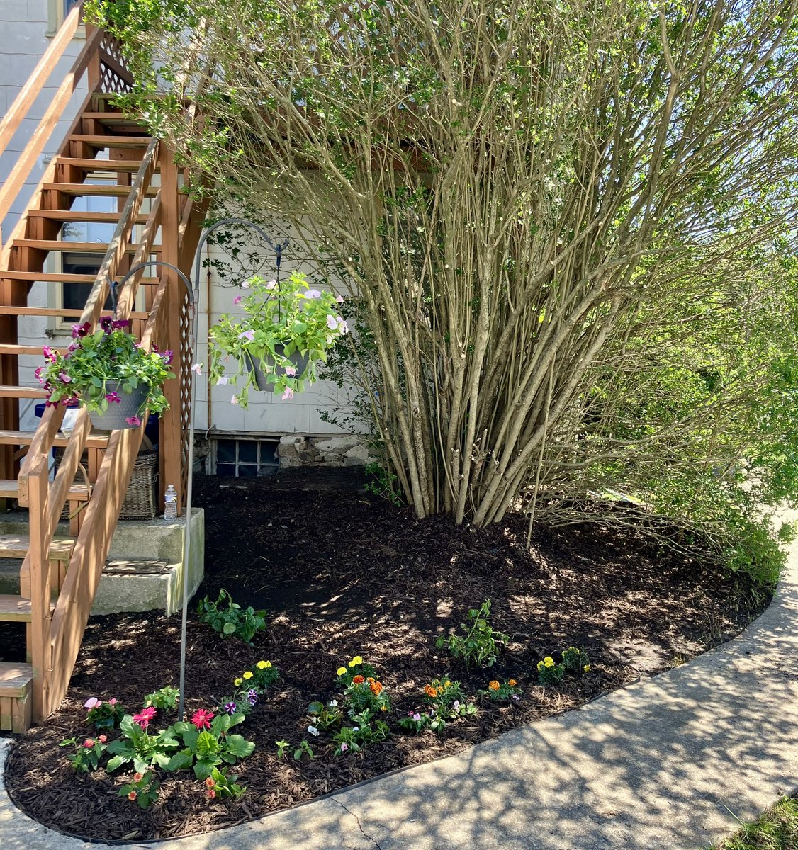 Crypto Bros Show🔺🇺🇸DeFi | Floki | Chois🇨🇴 tweet media