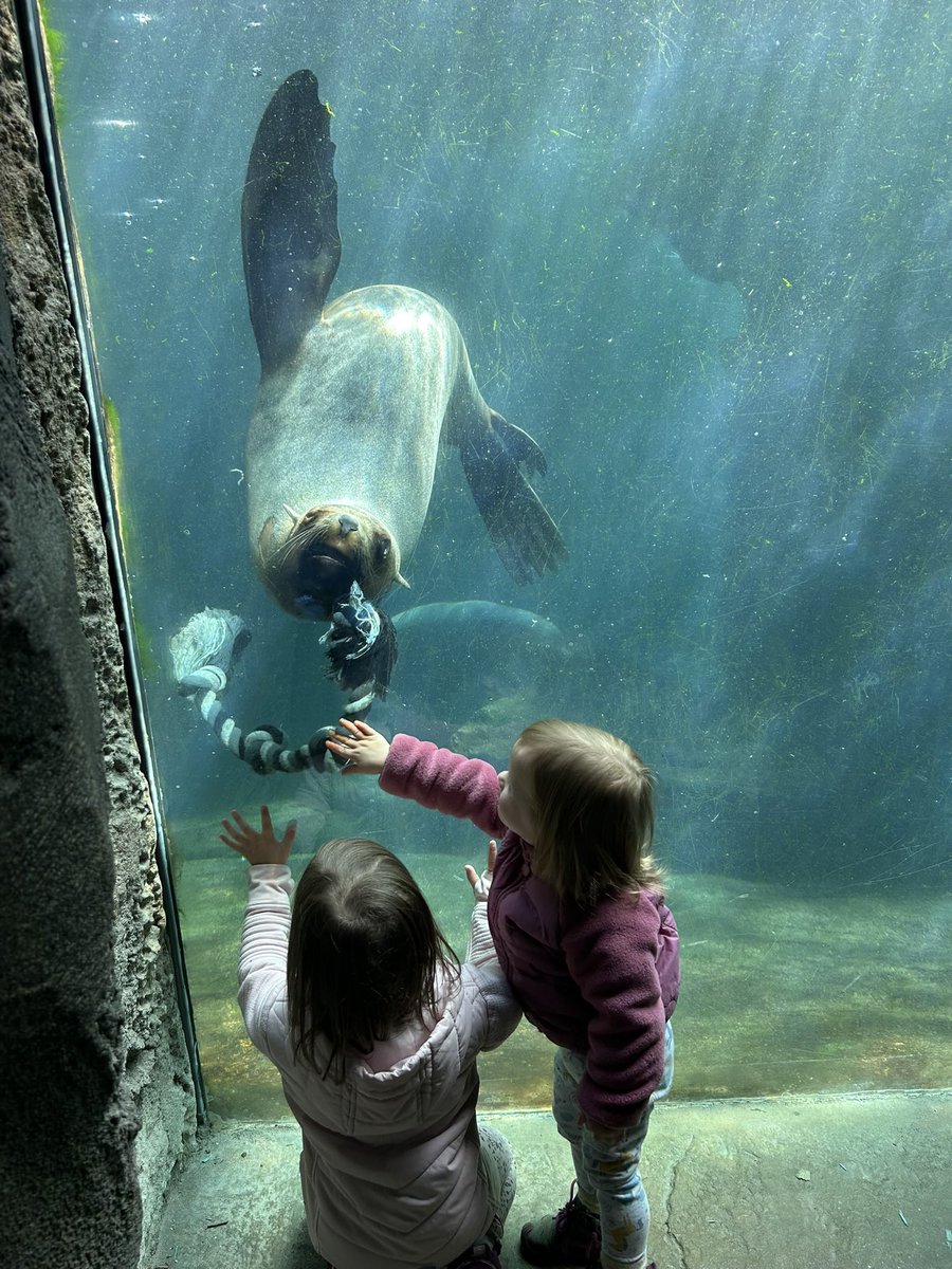 Zoo am Meer, mit Motte und Mini <3