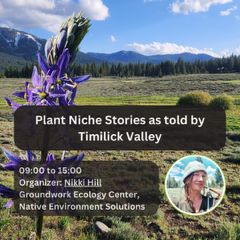 Wrap up your 2025 SoE with a Field Trip! 🌿

 Dive into the layered stories of plants and place! The Plant Niche Stories workshop at SOE 2025 is your chance to explore the natural and cultural intricacies of Timilick Valley. Register today --&gt; ethnobiology.org/conference/upc…  #SoE25