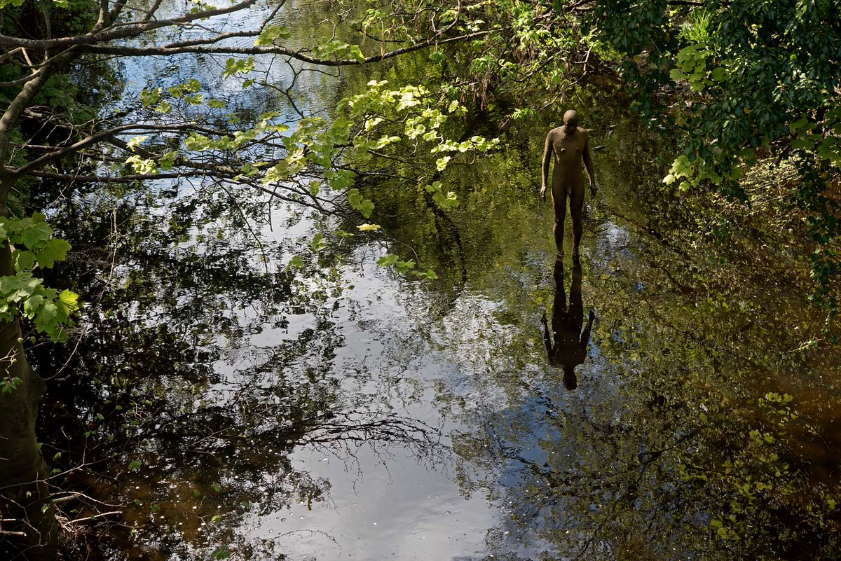 AlanWilson_SP's tweet image. From the last few days of wandering.
#Edinburgh