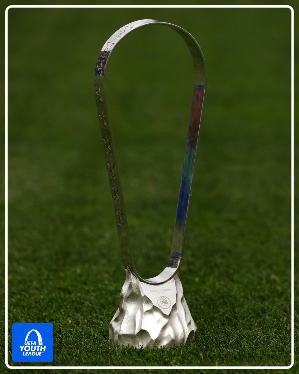 zaten bok gibi kupaydı