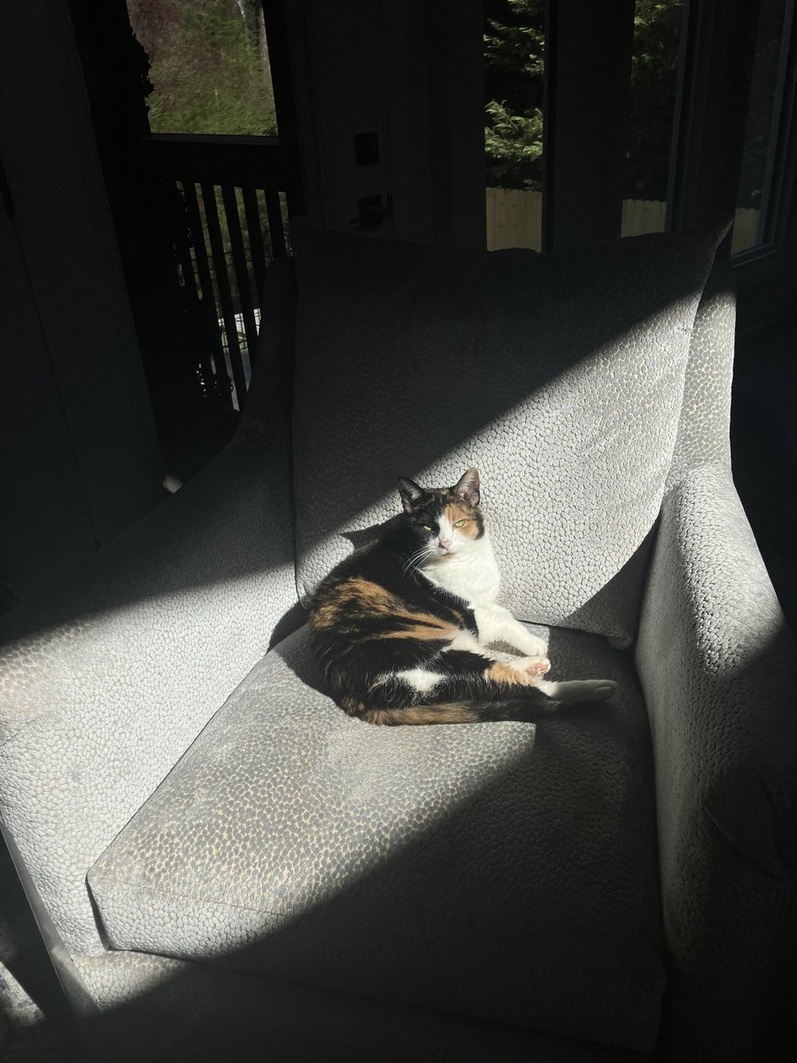 The sun has chosen her