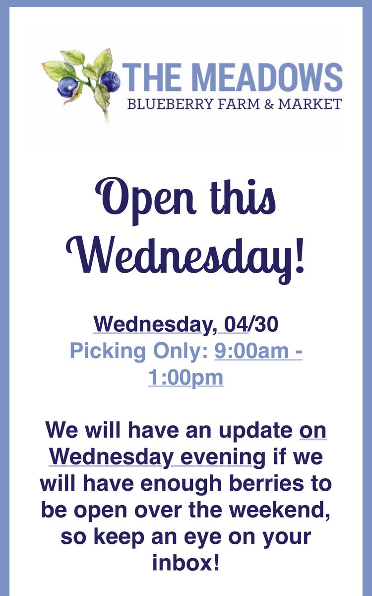 Meadows Blueberry Farm (@meadowsbbfarm) on Twitter photo 