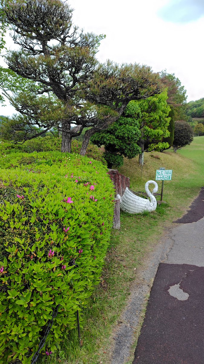 SPADA502's tweet image. ゴールデンウィークの1ラウンド目！
前半終わったところで59、OB2、砂1、20PT。今日もいつものように調子悪い😓
後半ティーショットが良くなり、OB0、砂0、16PTで46😁
ティーショットがいいとスコアがまとまる🤔
明日のラウンド、今日の後半の調子で回りたい😤そろそろ二桁で回りたいな🤔
#ゴルフ好き