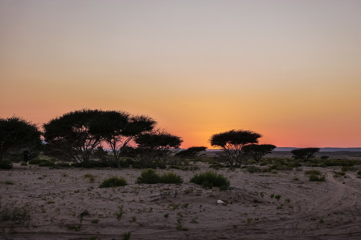 Check out our latest Ask the Geographer podcast ow.ly/7xYz50VIIWG with Mark Evans <a href="/UniOfTheDesert/">Mark Evans</a> as he reflects on his Oman expedition, exploring biodiversity and sustainability.