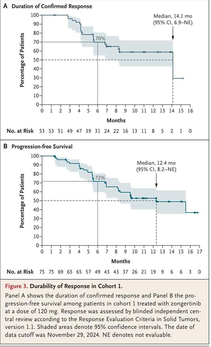 Goutham Sunny (@medoncodoc) on Twitter photo Beamion LUNG 1 - Zongertinib in previously treated Her2 mutated NSCLC.
Phase 1 data, 71% ORR, DoR 14.1m, mPFS 12.4m. Good safety profile. Promising data.
DOI: 10.1056/NEJMoa2503704
<a href="/SuyogCancer/">Dr Amol Akhade</a> <a href="/tuttsakhil/">Dr Akhil Santhosh</a> <a href="/NarjustFlorezMD/">Narjust Florez, MD, FASCO</a> <a href="/OncoAlert/">OncoAlert</a> Beamion LUNG 1 - Zongertinib in previously treated Her2 mutated NSCLC.
Phase 1 data, 71% ORR, DoR 14.1m, mPFS 12.4m. Good safety profile. Promising data.
DOI: 10.1056/NEJMoa2503704
<a href="/SuyogCancer/">Dr Amol Akhade</a> <a href="/tuttsakhil/">Dr Akhil Santhosh</a> <a href="/NarjustFlorezMD/">Narjust Florez, MD, FASCO</a> <a href="/OncoAlert/">OncoAlert</a>