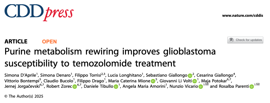 Nunzio Vicario (@vicarionunzio) on Twitter photo Our latest research on purine metabolism has just been published with <a href="/SpringerNature/">Springer Nature</a> in Cell Death & Disease.
Read here: rdcu.be/ejaRN Our latest research on purine metabolism has just been published with <a href="/SpringerNature/">Springer Nature</a> in Cell Death & Disease.
Read here: rdcu.be/ejaRN