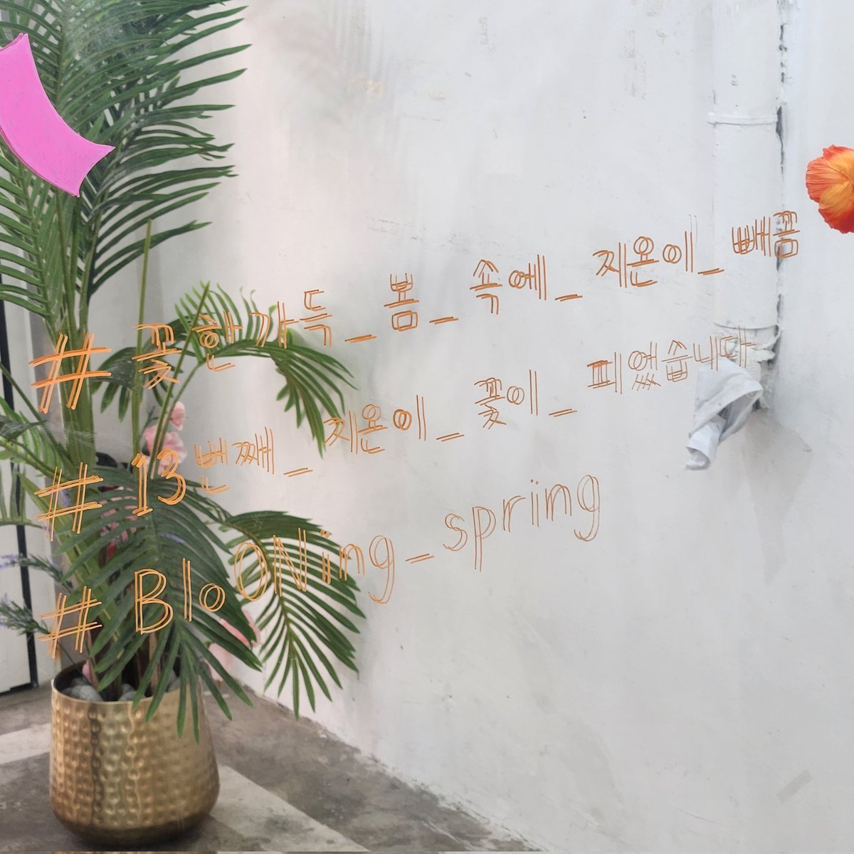 onzzong's tweet photo. #꽃한가득_봄_속에_지온이_빼꼼
#13번째_지온이_꽃이_피었습니다
#BloONing_spring 

보자마자 맘속에 찜콩해뒀던 너무 이쁜 프레임으로 드뎌 찍었더요 넘이뿌🥹💛 https://t.co/F2X8P5HAbw